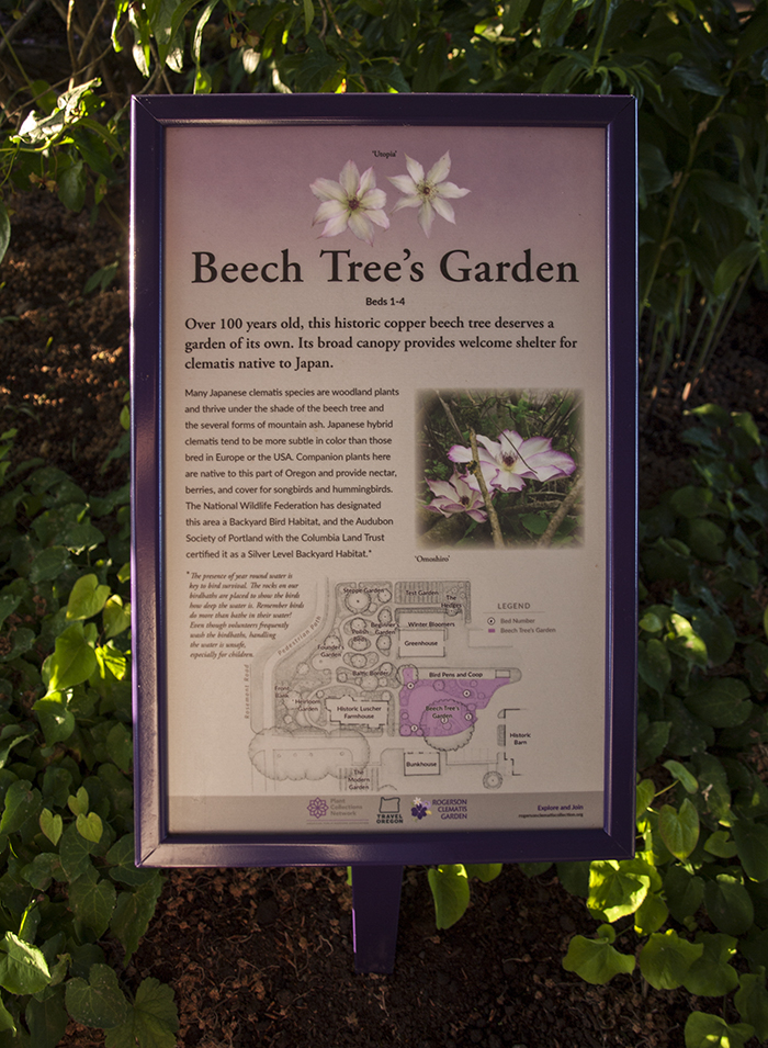Rogerson Clematis Garden - Beech Tree's Garden Sign