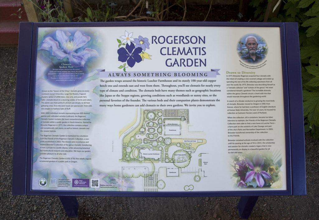 Rogerson Clematis Garden - Introduction Panel 2