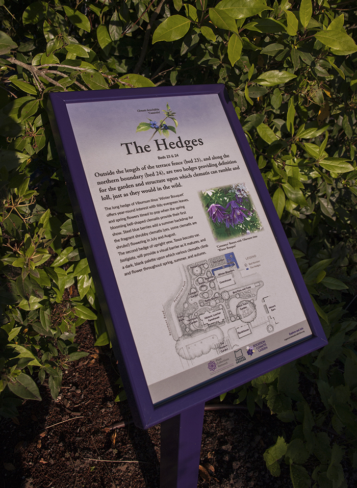 Rogerson Clematis Garden - The Hedges Garden Sign