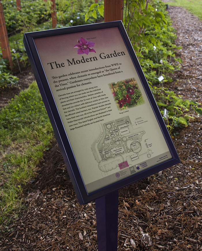 Rogerson Clematis Garden - The Modern Garden Sign