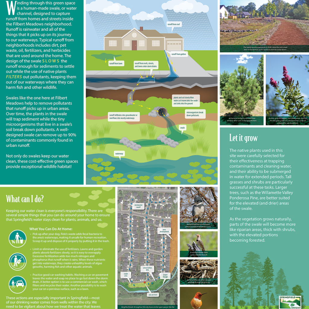 Filbert Meadows - Panel Graphic