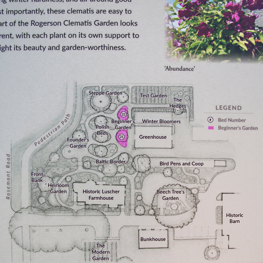 Rogerson Clematis Garden - Beginner's Garden Panel Close-up
