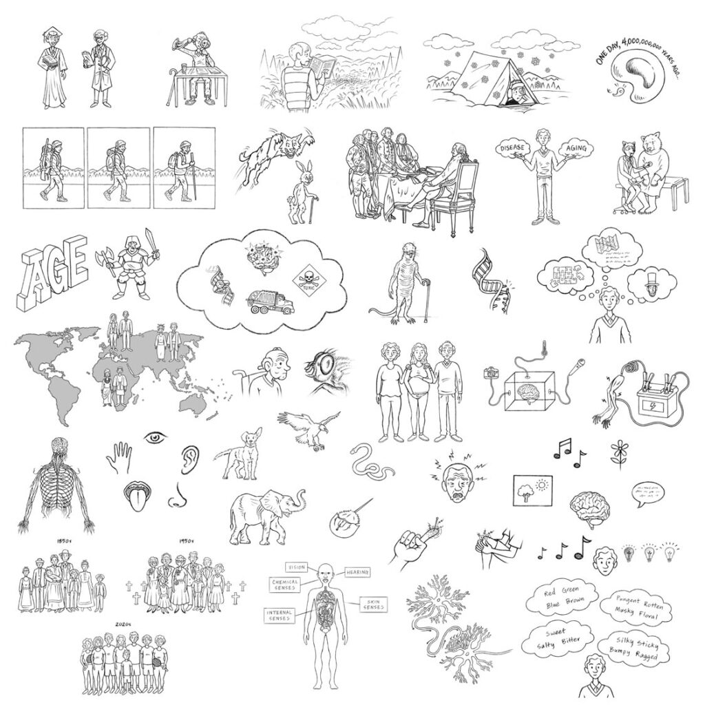 In the Realm of the Aging Senses Illustrations - Collage 1