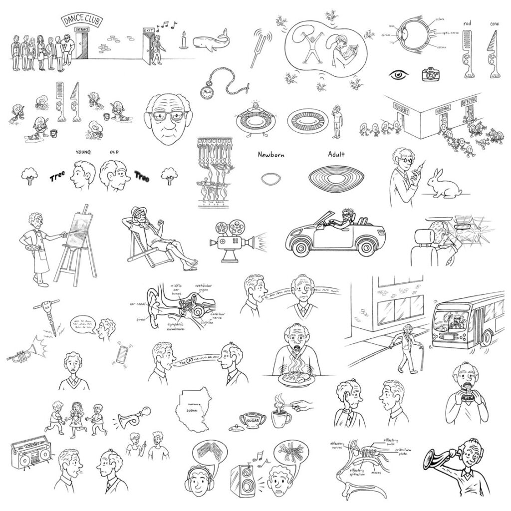 In the Realm of the Aging Senses Illustrations - Collage 2