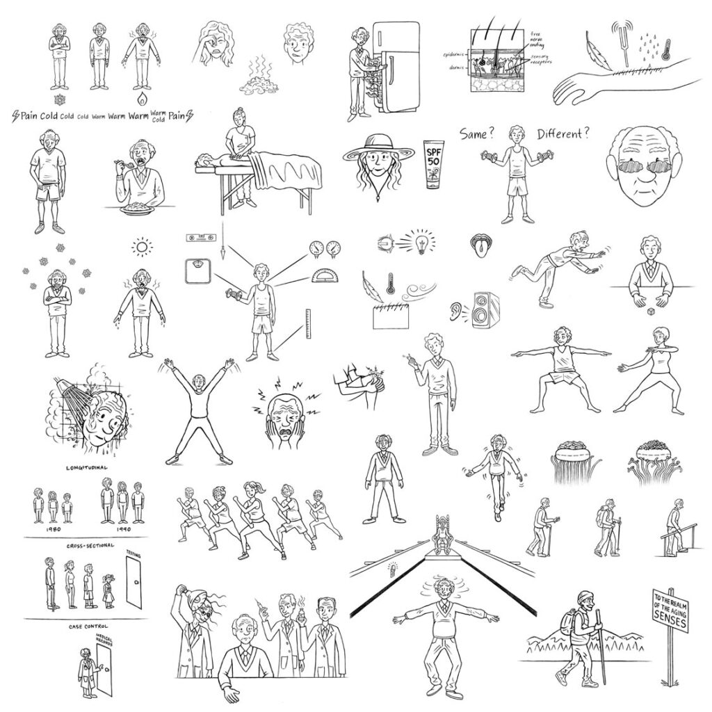 In the Realm of the Aging Senses Illustrations - Collage 3